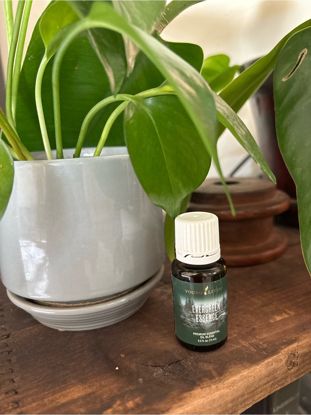 Young Living Evergreen Essence - Essential Oil